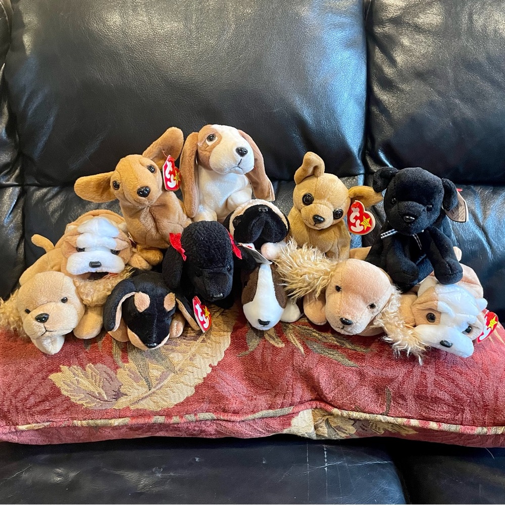 Meet the TY Beanie Baby Dogs!